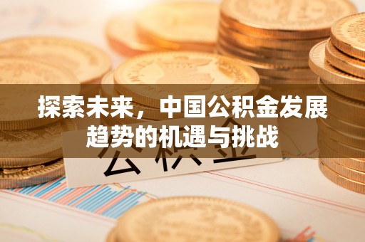 定陶探索未来，中国公积金发展趋势的机遇与挑战