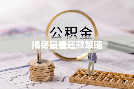 定陶揭秘最佳还款策略