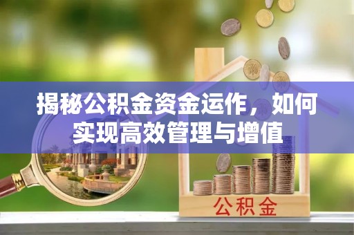 定陶揭秘公积金资金运作，如何实现高效管理与增值