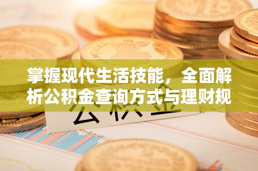 定陶掌握现代生活技能，全面解析公积金查询方式与理财规划