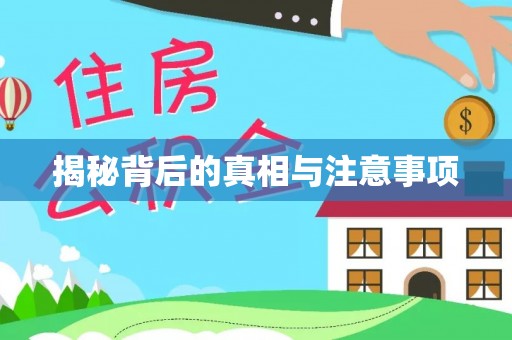 定陶揭秘背后的真相与注意事项