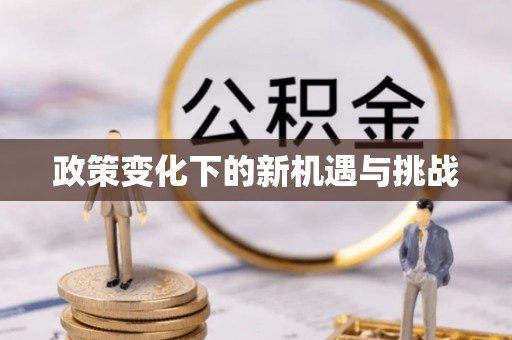 定陶政策变化下的新机遇与挑战
