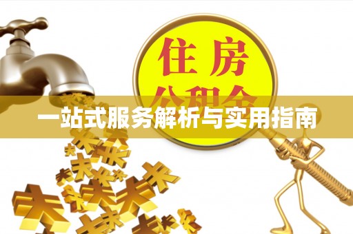 定陶一站式服务解析与实用指南