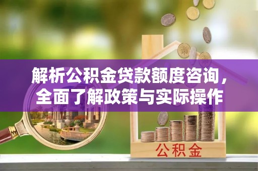 定陶解析公积金贷款额度咨询，全面了解政策与实际操作