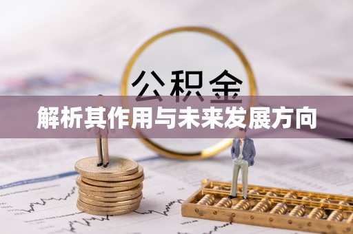 定陶解析其作用与未来发展方向