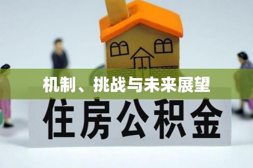 定陶机制、挑战与未来展望