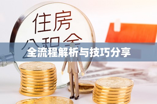 定陶全流程解析与技巧分享