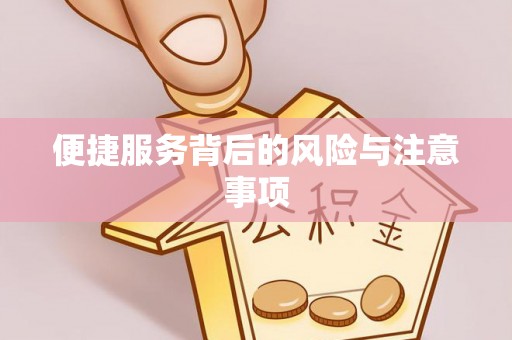 定陶便捷服务背后的风险与注意事项